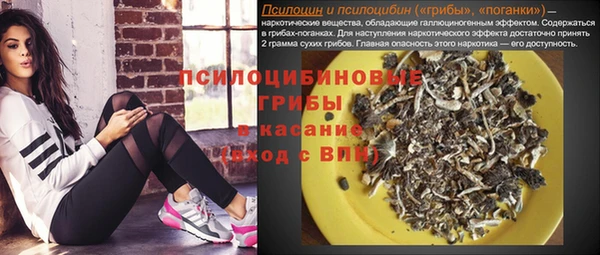СК Абаза